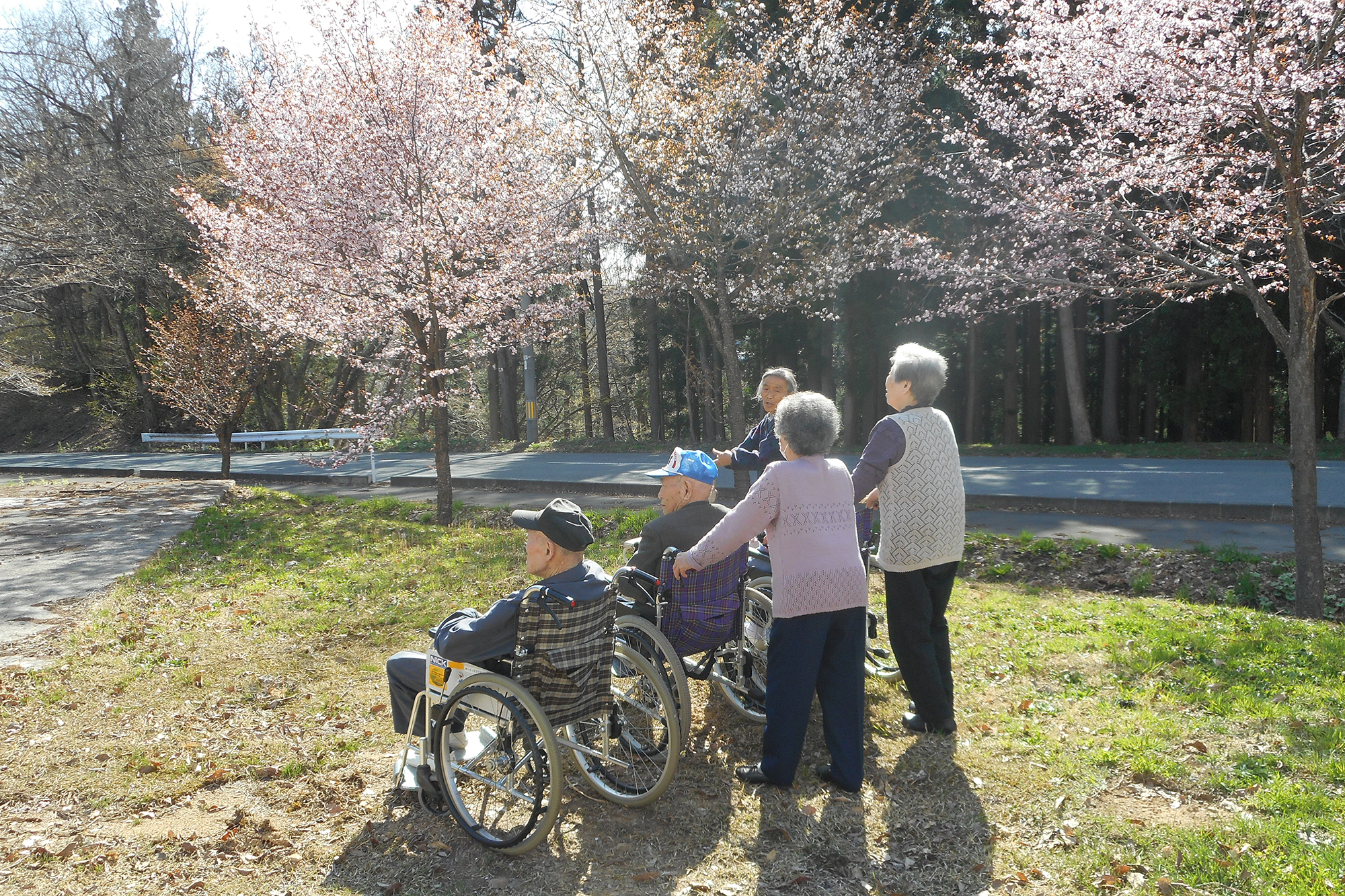 高齢者生活福祉センターかたくりの園 春のお花見